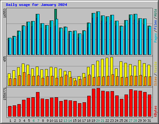 Daily usage for January 2024