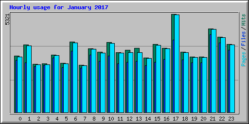 Hourly usage for January 2017