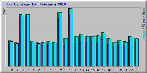 Hourly usage for February 2019