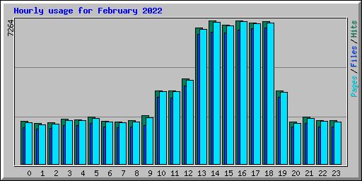 Hourly usage for February 2022