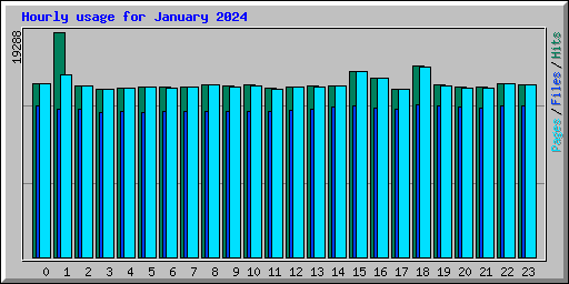 Hourly usage for January 2024
