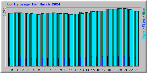 Hourly usage for March 2024