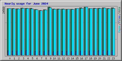 Hourly usage for June 2024