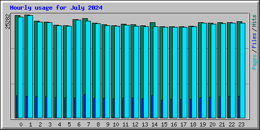 Hourly usage for July 2024