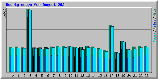 Hourly usage for August 2024