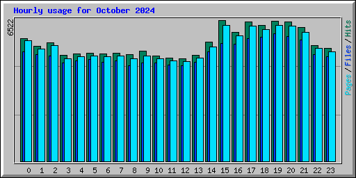 Hourly usage for October 2024