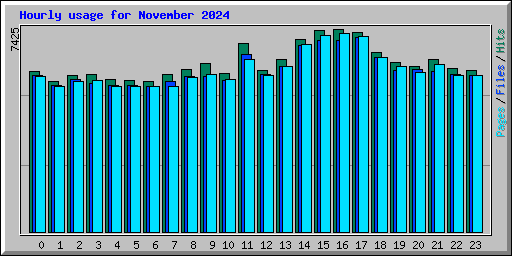 Hourly usage for November 2024