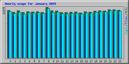 Hourly usage for January 2025