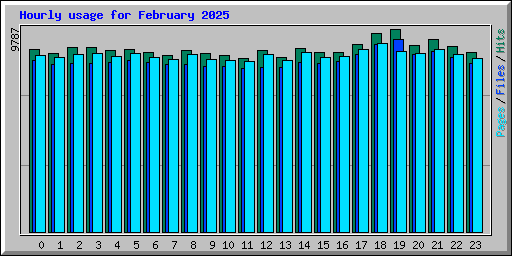 Hourly usage for February 2025