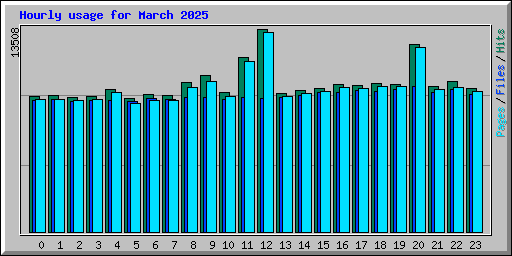 Hourly usage for March 2025