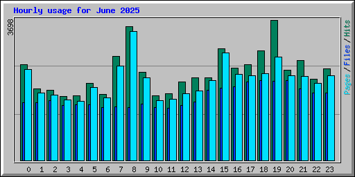 Hourly usage for June 2025