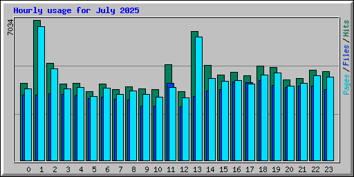 Hourly usage for July 2025