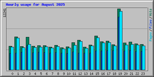Hourly usage for August 2025