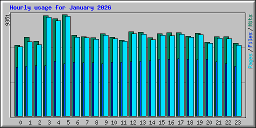 Hourly usage for January 2026