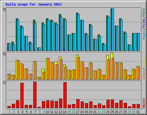 Daily usage for January 2011