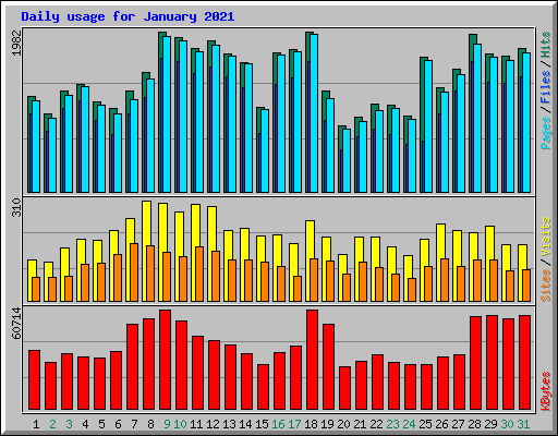 Daily usage for January 2021