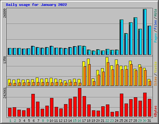 Daily usage for January 2022
