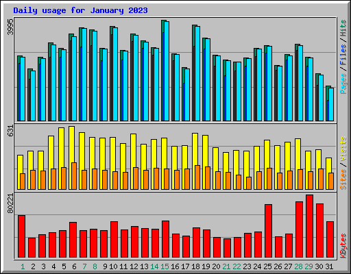 Daily usage for January 2023