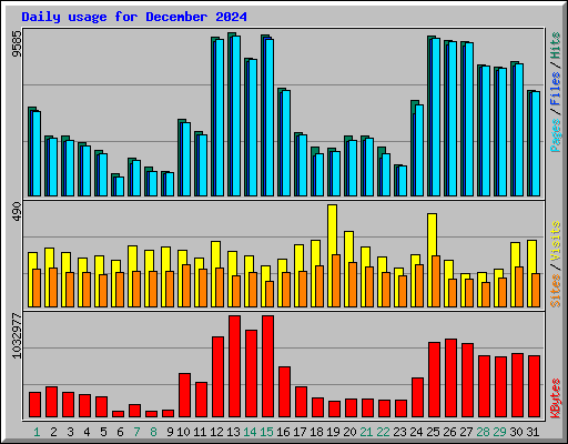 Daily usage for December 2024