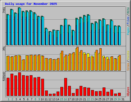Daily usage for November 2025