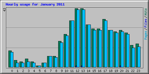 Hourly usage for January 2011