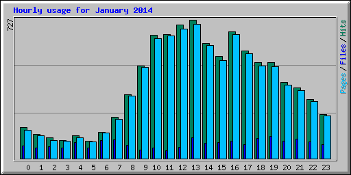 Hourly usage for January 2014