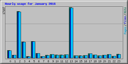 Hourly usage for January 2016