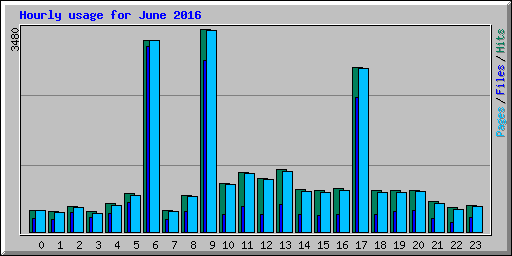 Hourly usage for June 2016