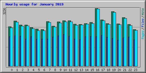 Hourly usage for January 2019