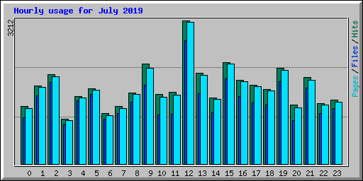 Hourly usage for July 2019