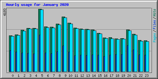 Hourly usage for January 2020