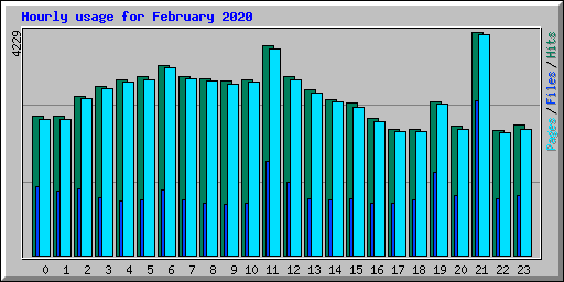 Hourly usage for February 2020