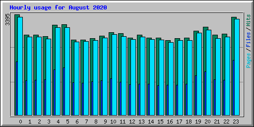 Hourly usage for August 2020