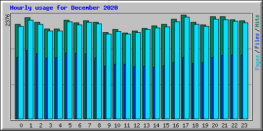 Hourly usage for December 2020