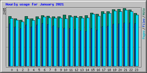 Hourly usage for January 2021