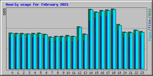 Hourly usage for February 2021