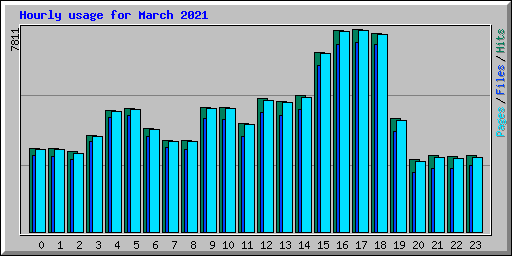 Hourly usage for March 2021