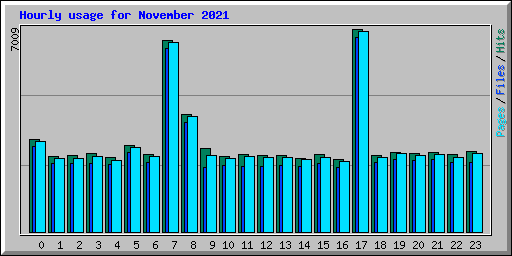 Hourly usage for November 2021