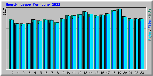 Hourly usage for June 2022