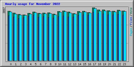 Hourly usage for November 2022