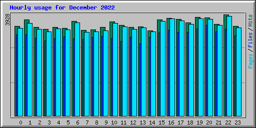 Hourly usage for December 2022