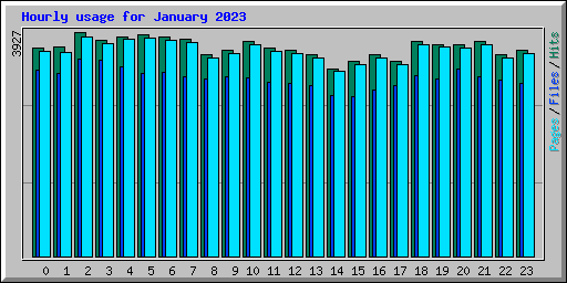 Hourly usage for January 2023