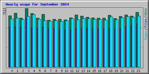 Hourly usage for September 2024