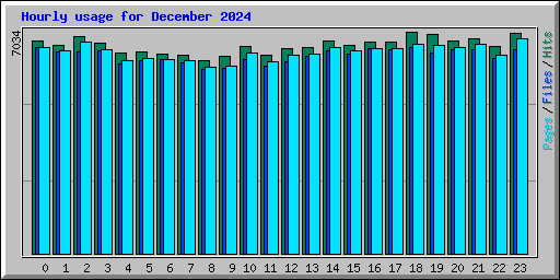 Hourly usage for December 2024