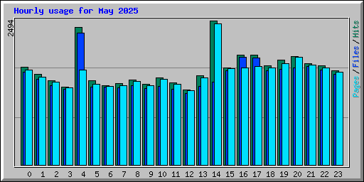 Hourly usage for May 2025