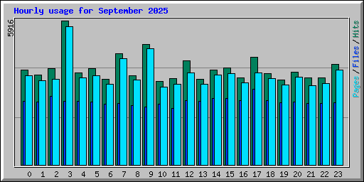 Hourly usage for September 2025