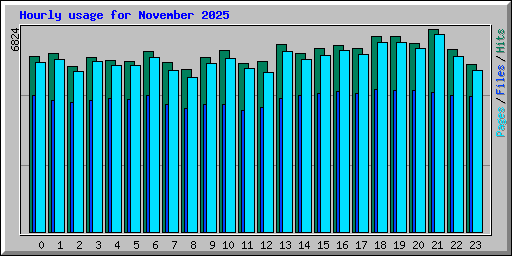 Hourly usage for November 2025