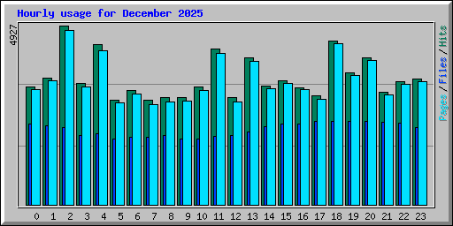Hourly usage for December 2025